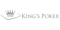 Visa partner logo